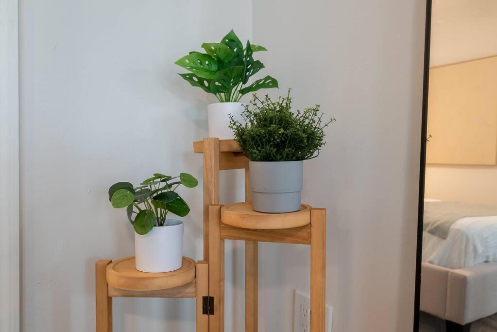 Apartament Garden Oasis In Flamingo Park West Palm Beach Zewnętrze zdjęcie